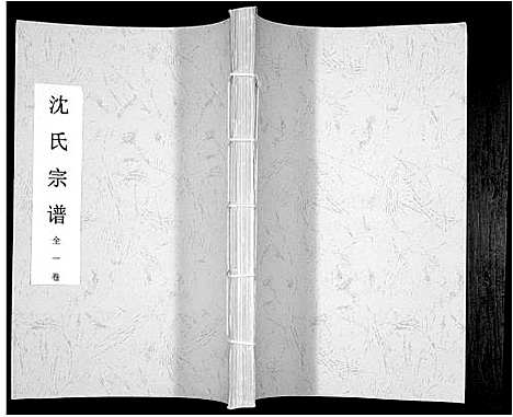 [下载][沈氏宗谱_全1卷]安徽.沈氏家谱.pdf