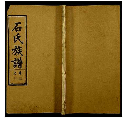 [下载][石氏族谱]安徽.石氏家谱_十四.pdf