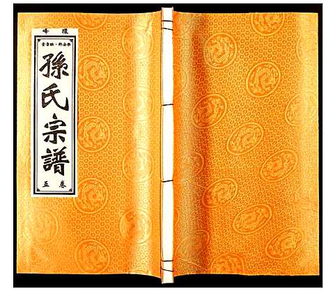 [下载][孙氏宗谱]安徽.孙氏家谱_五.pdf