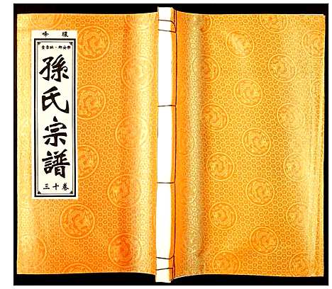 [下载][孙氏宗谱]安徽.孙氏家谱_十三.pdf