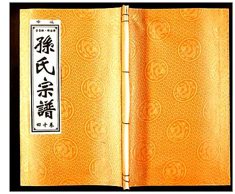 [下载][孙氏宗谱]安徽.孙氏家谱_十四.pdf