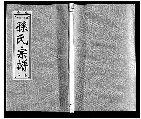 [下载][孙氏宗谱]安徽.孙氏家谱_六.pdf