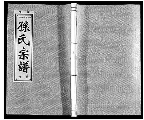 [下载][孙氏宗谱]安徽.孙氏家谱_七.pdf