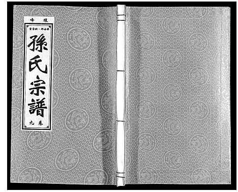 [下载][孙氏宗谱]安徽.孙氏家谱_九.pdf