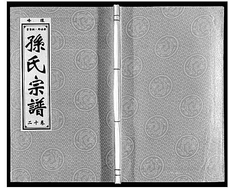 [下载][孙氏宗谱]安徽.孙氏家谱_十二.pdf