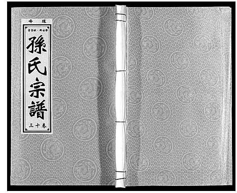 [下载][孙氏宗谱]安徽.孙氏家谱_十三.pdf