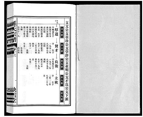 [下载][孙氏宗谱]安徽.孙氏家谱_十三.pdf