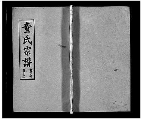 [下载][童氏宗谱_15卷首1卷_卷末上下]安徽.童氏家谱_十.pdf