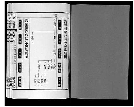 [下载][汪氏宗谱_10卷首1卷_末1卷]安徽.汪氏家谱_十三.pdf