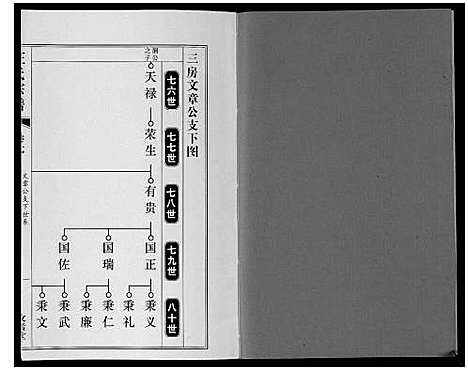 [下载][汪氏宗谱_11卷首1卷]安徽.汪氏家谱_八.pdf