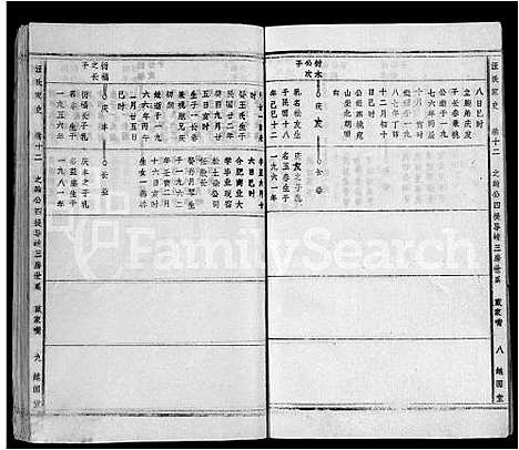 [下载][汪氏家史_14卷首末各1卷_宿松县汪氏家史]安徽.汪氏家史_十一.pdf