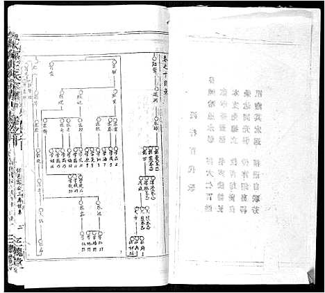 [下载][太原王氏宗谱_18卷首1卷]安徽.太原王氏家谱_九.pdf