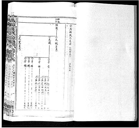 [下载][太原王氏宗谱_18卷首1卷]安徽.太原王氏家谱_十四.pdf