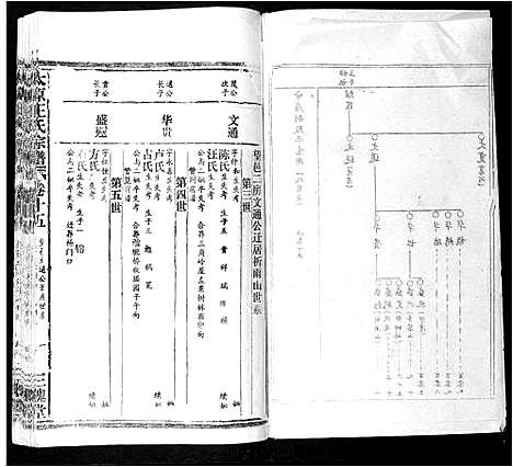 [下载][太原王氏宗谱_18卷首1卷]安徽.太原王氏家谱_十四.pdf