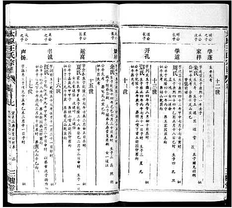 [下载][太原王氏宗谱_18卷首1卷]安徽.太原王氏家谱_十六.pdf