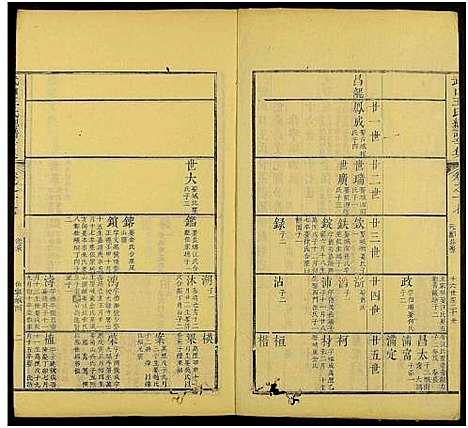 [下载][新安武口王氏统谱_共264卷计40册_武口王氏总谱]安徽.新安武口王氏统谱_十七.pdf