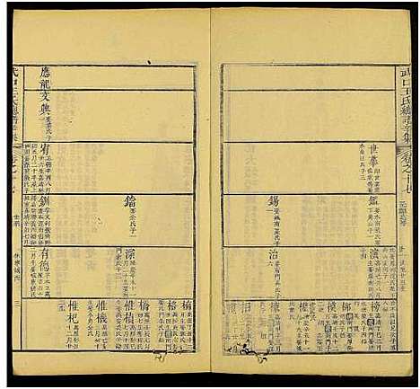 [下载][新安武口王氏统谱_共264卷计40册_武口王氏总谱]安徽.新安武口王氏统谱_十七.pdf