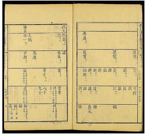 [下载][新安武口王氏统谱_共264卷计40册_武口王氏总谱]安徽.新安武口王氏统谱_十七.pdf