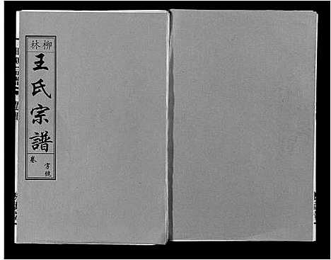 [下载][柳林王氏宗谱_14卷首末各1卷]安徽.柳林王氏家谱_四.pdf