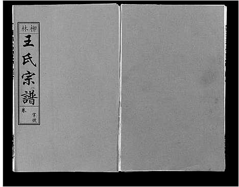 [下载][柳林王氏宗谱_14卷首末各1卷]安徽.柳林王氏家谱_五.pdf