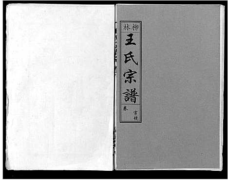 [下载][柳林王氏宗谱_14卷首末各1卷]安徽.柳林王氏家谱_六.pdf