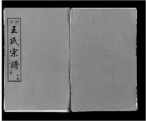 [下载][柳林王氏宗谱_14卷首末各1卷]安徽.柳林王氏家谱_十.pdf