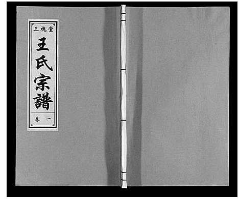 [下载][王氏宗谱]安徽.王氏家谱_一.pdf