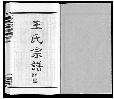 [下载][王氏宗谱]安徽.王氏家谱_三.pdf