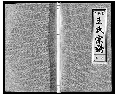 [下载][王氏宗谱]安徽.王氏家谱_二.pdf