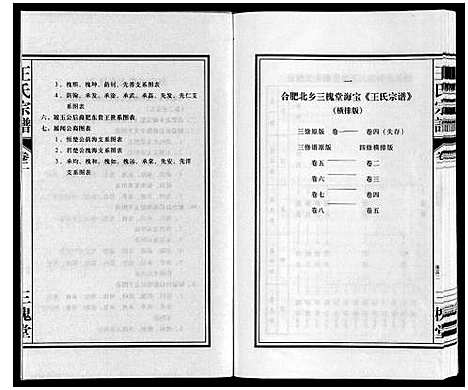 [下载][王氏宗谱]安徽.王氏家谱_二.pdf