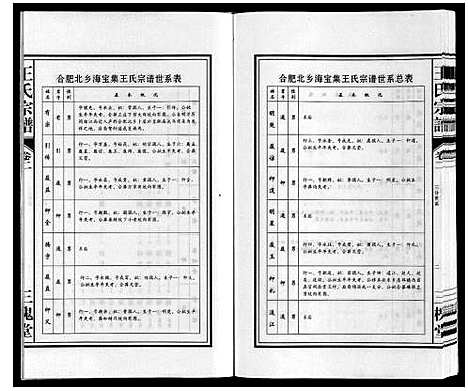 [下载][王氏宗谱]安徽.王氏家谱_二.pdf