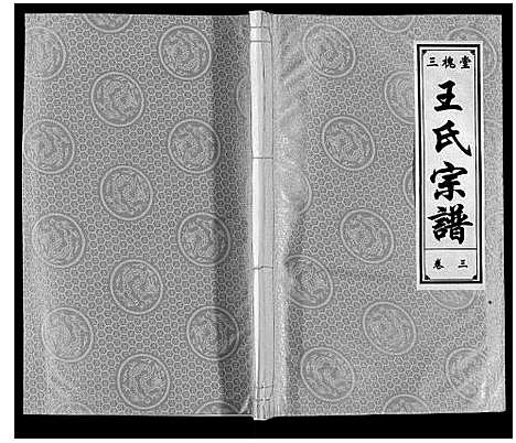 [下载][王氏宗谱]安徽.王氏家谱_三.pdf