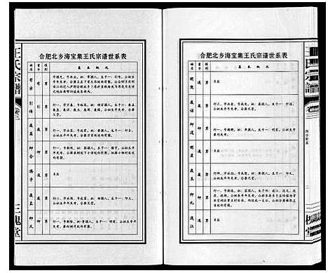 [下载][王氏宗谱]安徽.王氏家谱_三.pdf