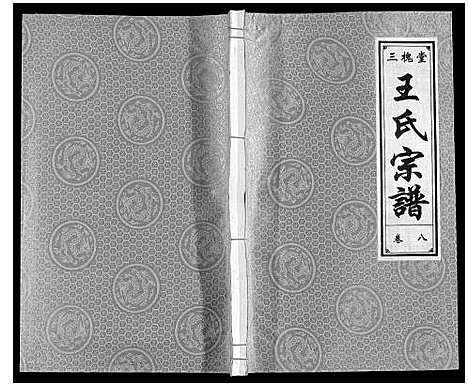 [下载][王氏宗谱]安徽.王氏家谱_八.pdf