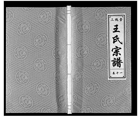 [下载][王氏宗谱]安徽.王氏家谱_十一.pdf