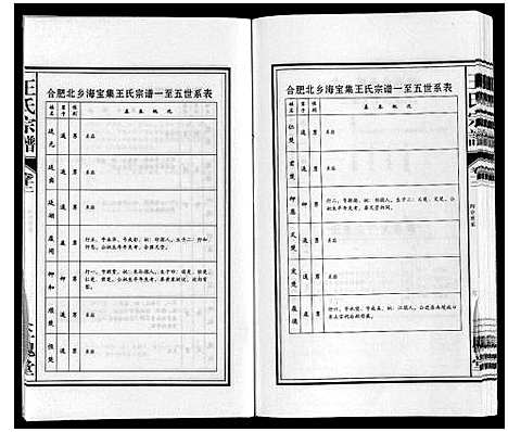 [下载][王氏宗谱]安徽.王氏家谱_十二.pdf