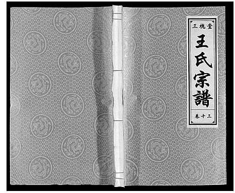 [下载][王氏宗谱]安徽.王氏家谱_十三.pdf