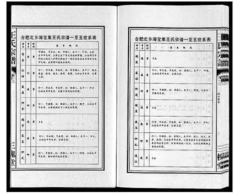 [下载][王氏宗谱]安徽.王氏家谱_十三.pdf