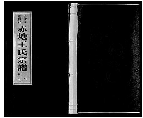 [下载][王氏宗谱]安徽.王氏家谱_六.pdf