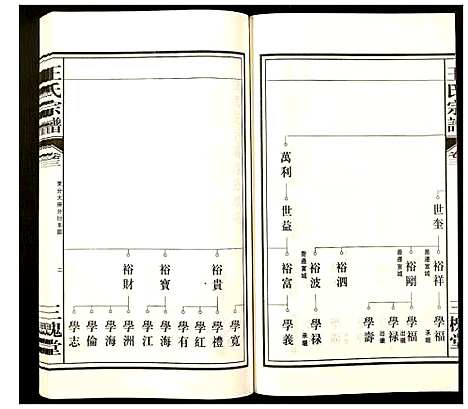 [下载][王氏宗谱]安徽.王氏家谱_二.pdf