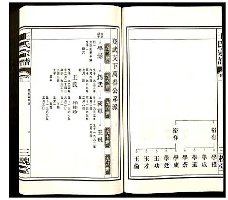 [下载][王氏宗谱]安徽.王氏家谱_二.pdf