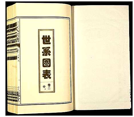 [下载][王氏宗谱]安徽.王氏家谱_五.pdf