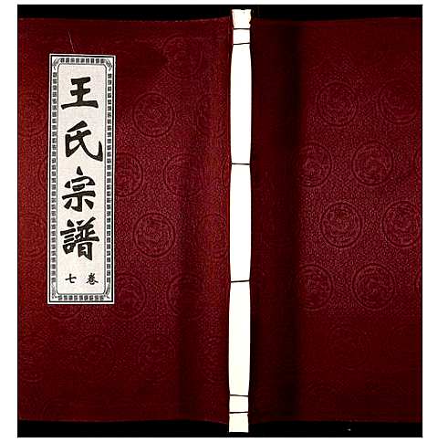 [下载][王氏宗谱]安徽.王氏家谱_五.pdf