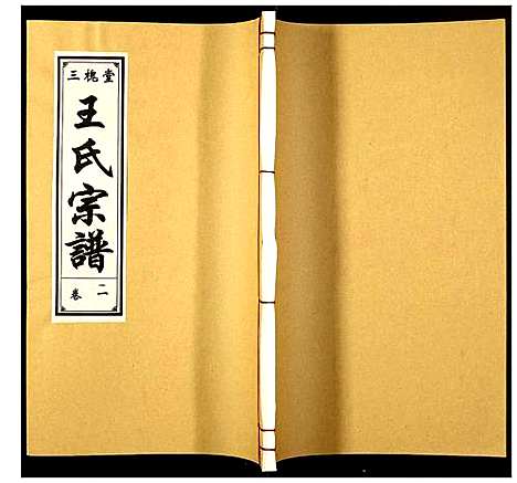 [下载][王氏宗谱]安徽.王氏家谱_二.pdf