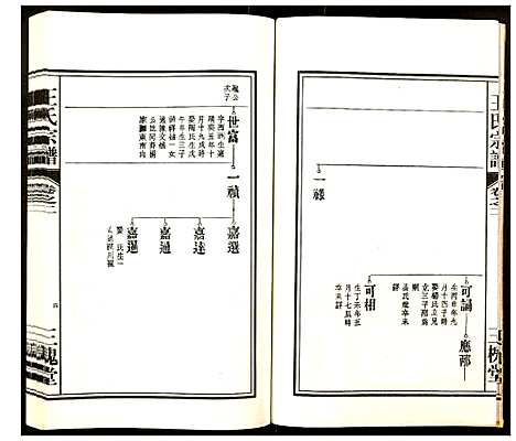 [下载][王氏宗谱]安徽.王氏家谱_二.pdf