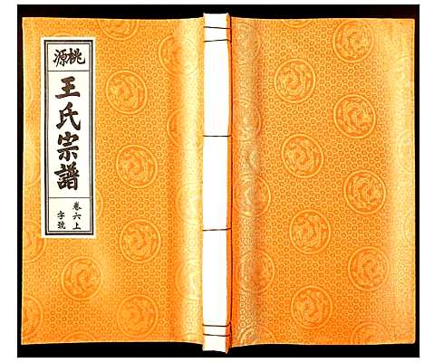 [下载][王氏宗谱]安徽.王氏家谱_四.pdf