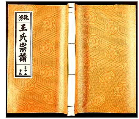 [下载][王氏宗谱]安徽.王氏家谱_十一.pdf