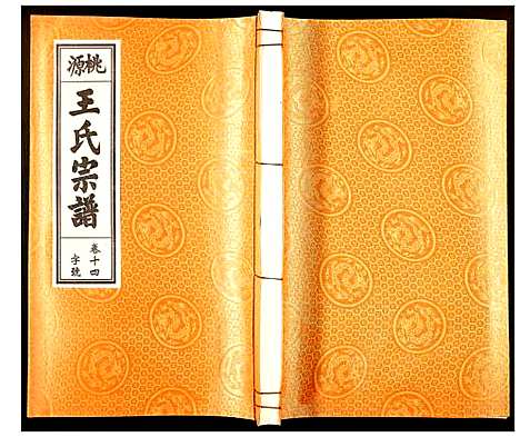 [下载][王氏宗谱]安徽.王氏家谱_十二.pdf