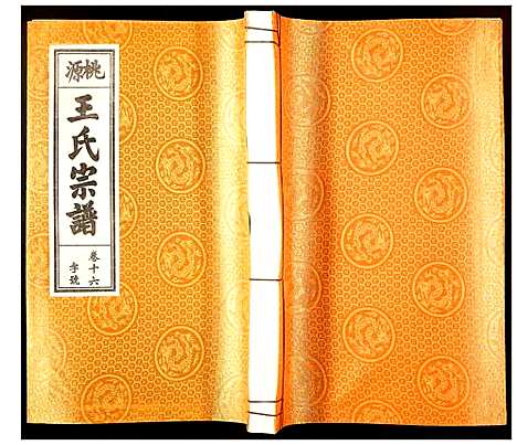 [下载][王氏宗谱]安徽.王氏家谱_十四.pdf