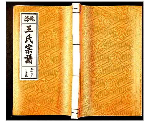 [下载][王氏宗谱]安徽.王氏家谱_十五.pdf